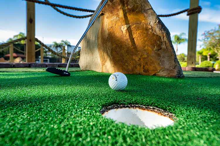 Reunion Mini Golf